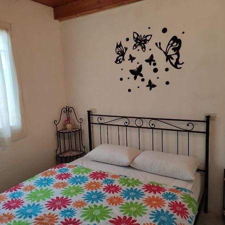 Stellina Villa Lido di Volano Bagian luar foto